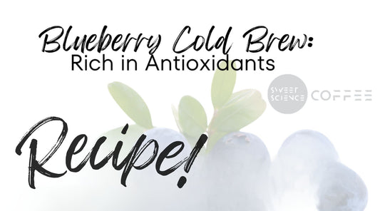 Blueberry Cold Brew: A Refreshing Antioxidant-Rich Delight