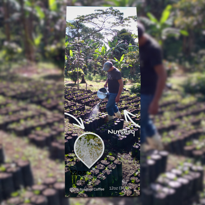 Peru SO Beancoming Collection