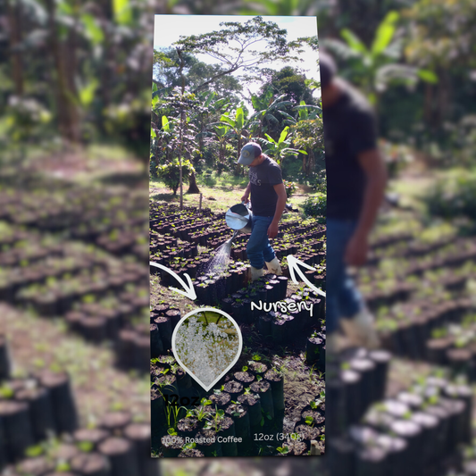 Peru SO Beancoming Collection