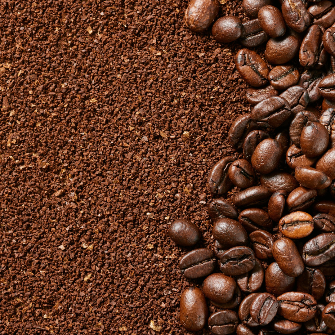 Pour Over and Filter Session