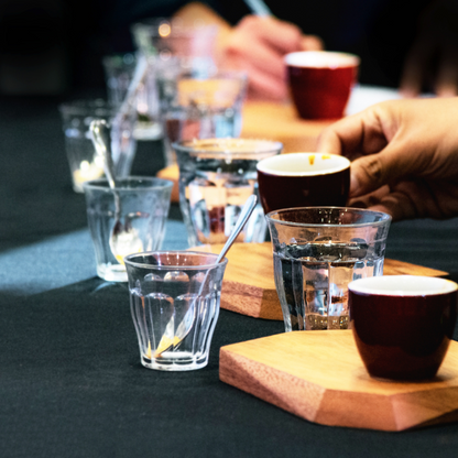 Sensory Skills and Palate Training