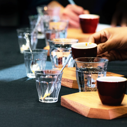 Sensory Skills and Palate Training