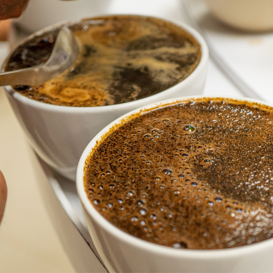 Cupping and Quality Assessment