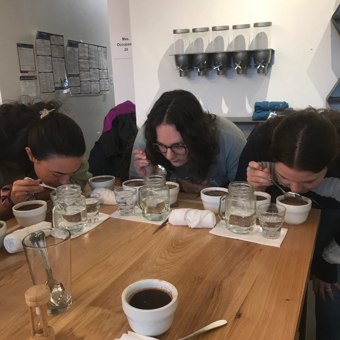 Cupping and Quality Assessment